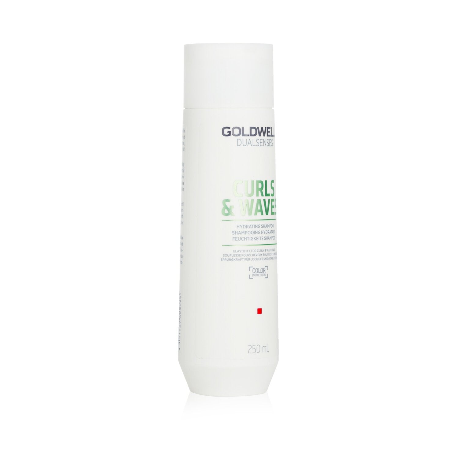 Goldwell Dual Senses Curls & Waves Hydrating Shampoo (Elasticity For Curly & Wav
