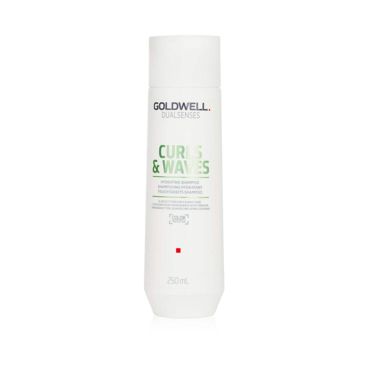 Goldwell Dual Senses Curls & Waves Hydrating Shampoo (Elasticity For Curly & Wav