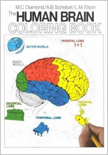Human Brain Coloring Book