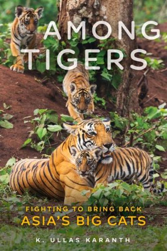 Among Tigers