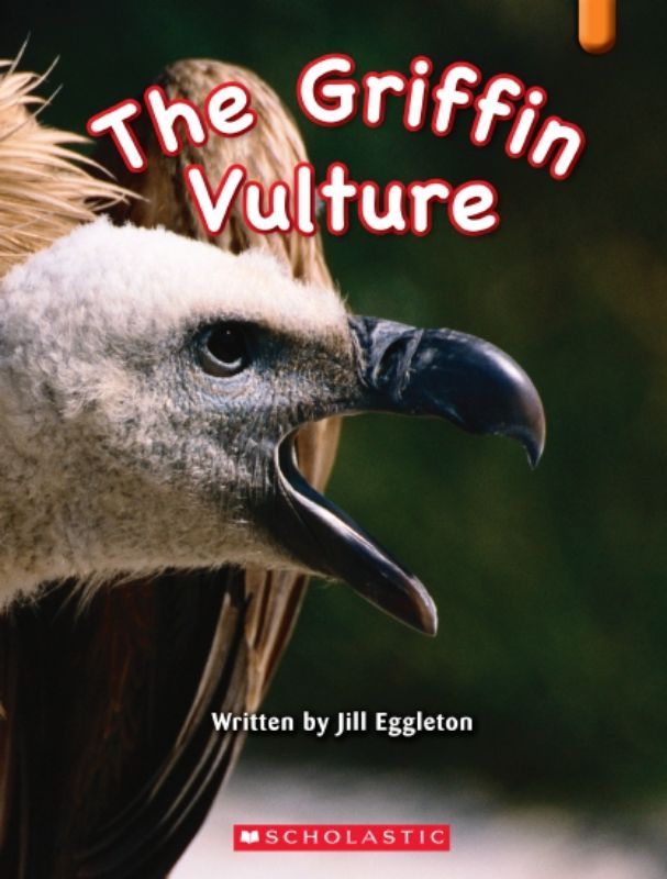 Griffin Vulture 2nd Edit