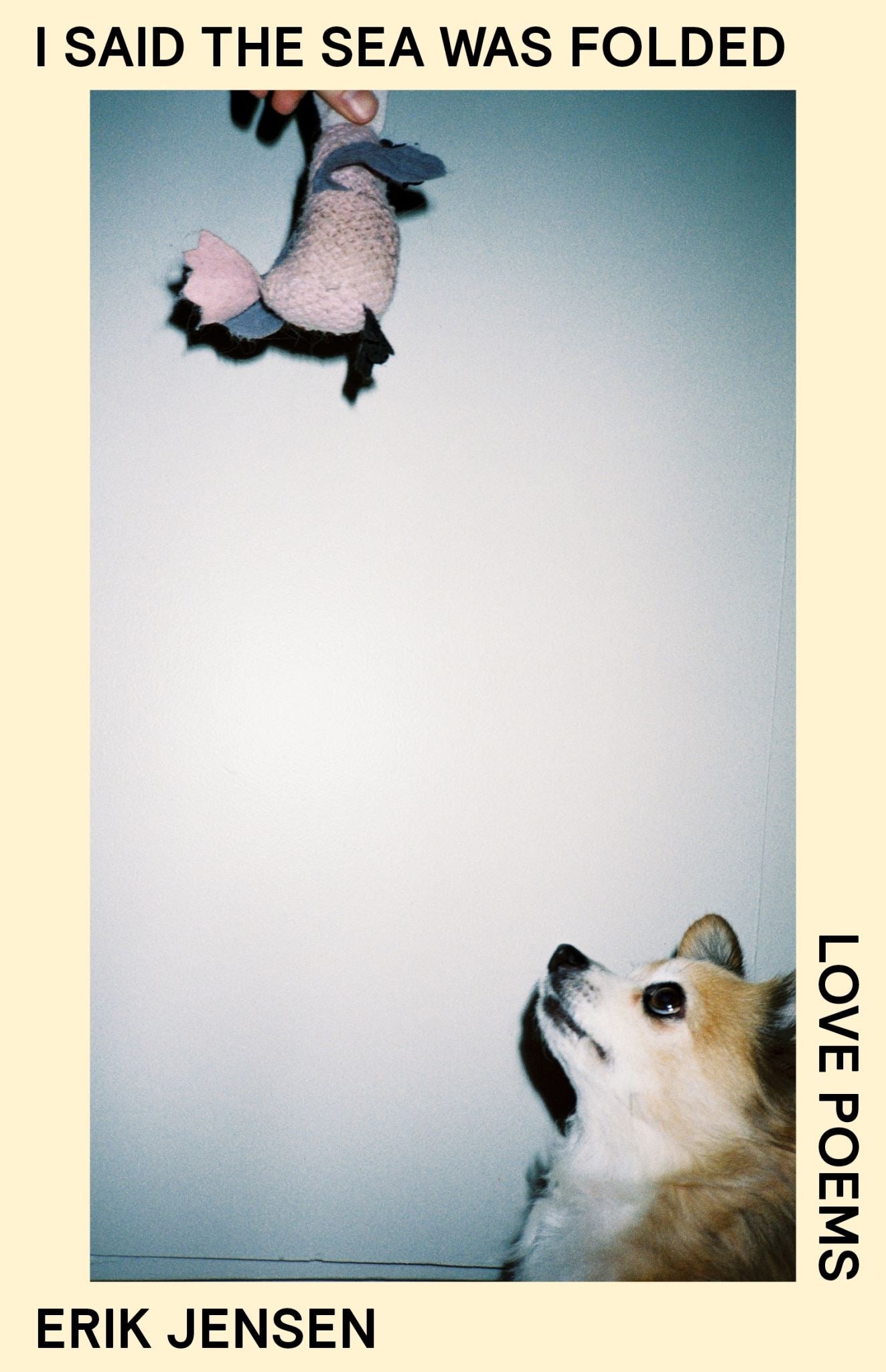 I said the sea was folded: Love Poems