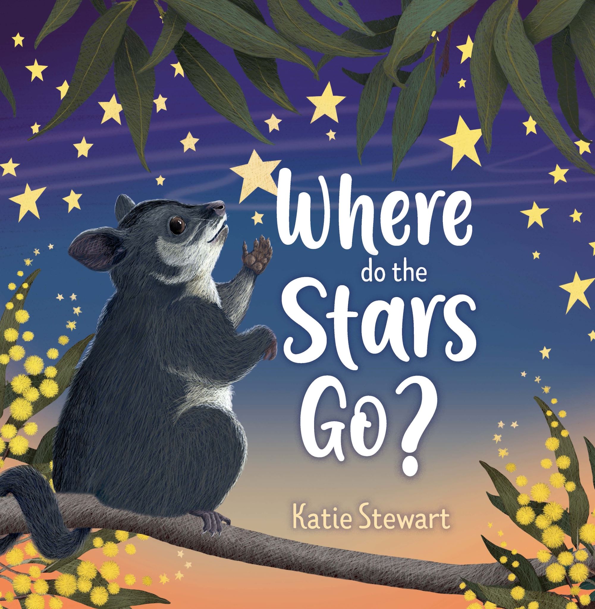 Where do the stars go?