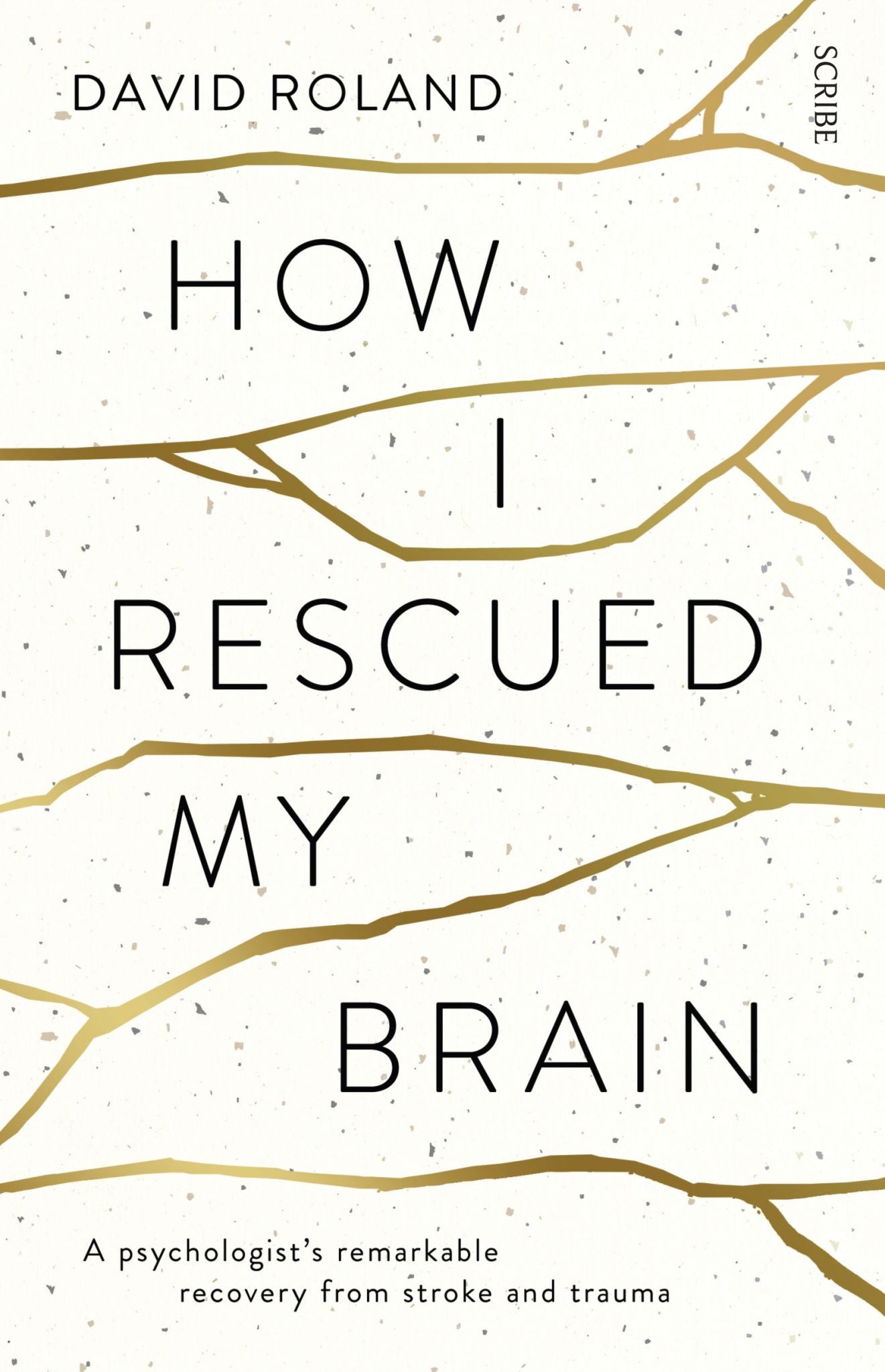 How I Rescued My Brain: a psychologist's remarkable recovery from stroke and tra