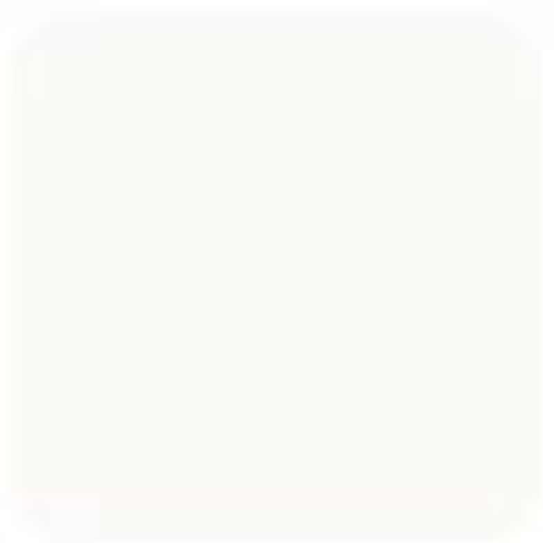 Shiseido Synchro Skin Soft Blurring Primer 30ml/1oz