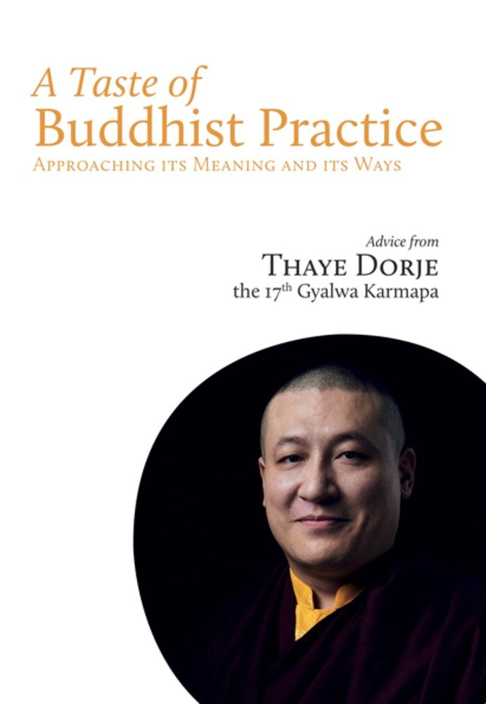 A Taste of Buddhist Practice