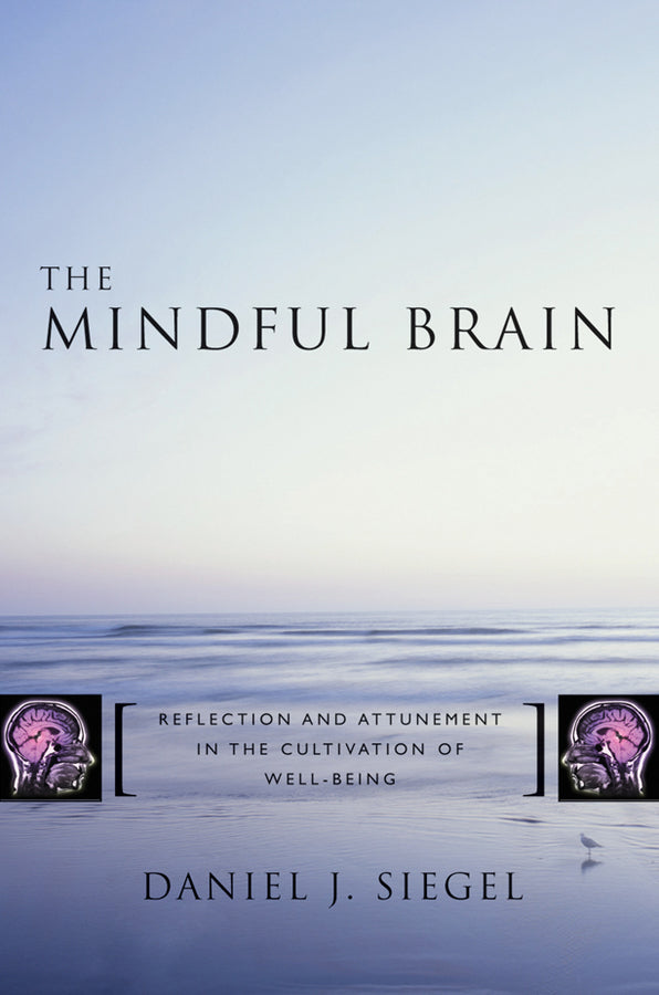 The Mindful Brain