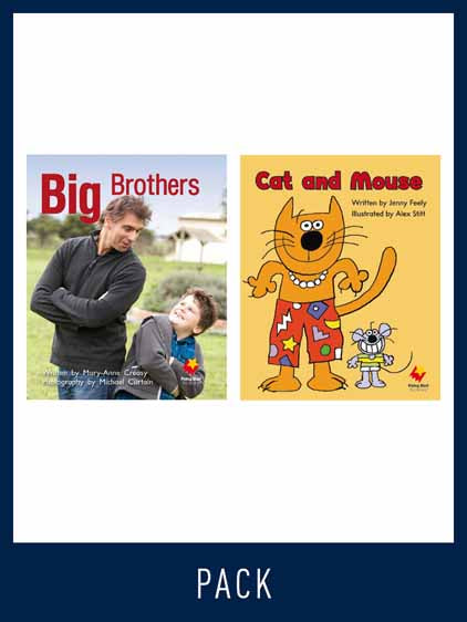 Flying Start Guided Reading Pack Level 3, Pack 5