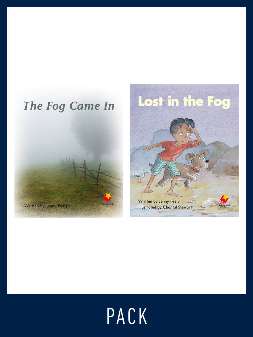 Flying Start Guided Reading Pack Level 4, Pack 4