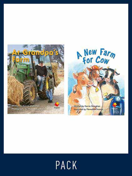 Flying Start Guided Reading Pack Level 4, Pack 5
