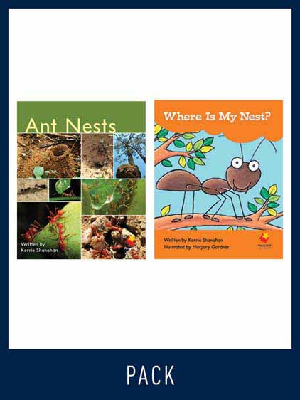 Flying Start Guided Reading Pack Level 5, Pack 3