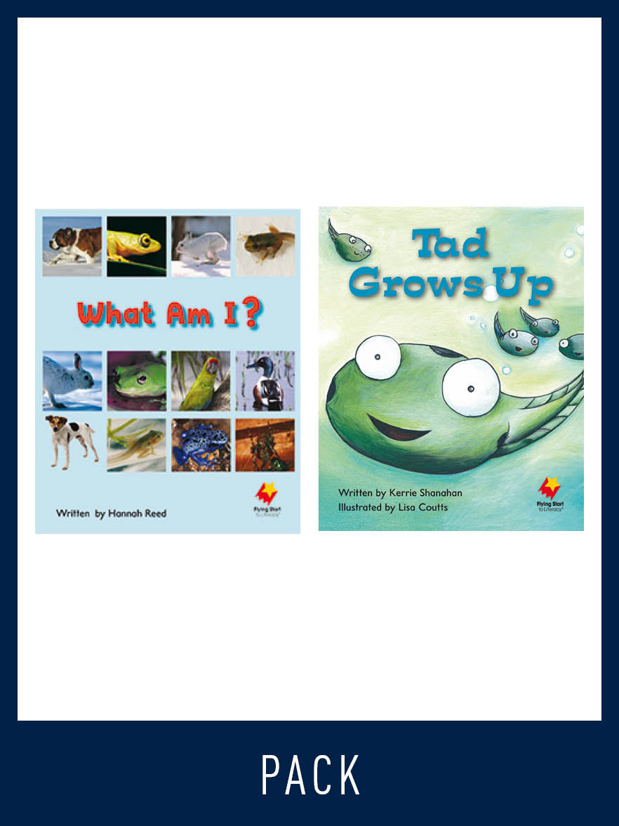 Flying Start Guided Reading Pack Level 6, Pack 3