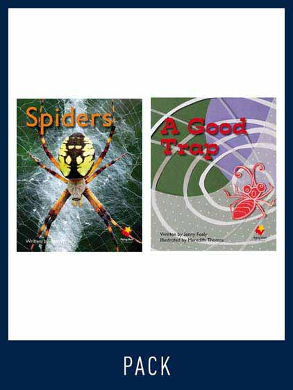 Flying Start Guided Reading Pack Level 6, Pack 4