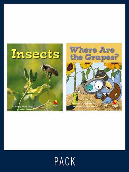 Flying Start Guided Reading Pack Level 7, Pack 3