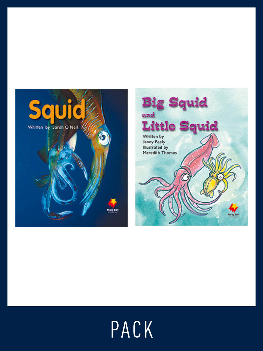 Flying Start Guided Reading Pack Level 7, Pack 4