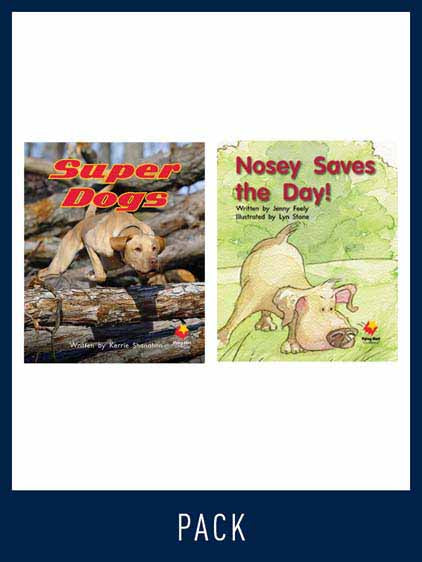 Flying Start Guided Reading Pack Level 7, Pack 2
