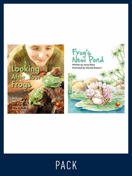 Flying Start Guided Reading Pack Level 8, Pack 5