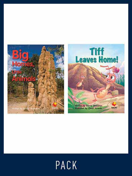 Flying Start Guided Reading Pack Level 8, Pack 2