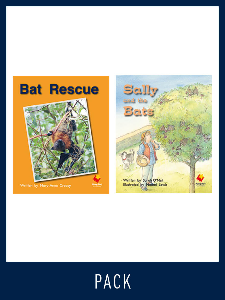 Flying Start Guided Reading Pack Level 9, Pack 3