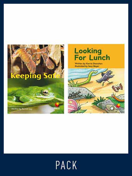 Flying Start Guided Reading Pack Level 10, Pack 4