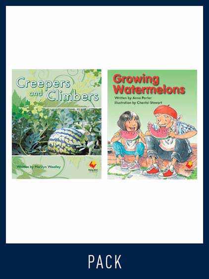 Flying Start Guided Reading Pack Level 12, Pack 4