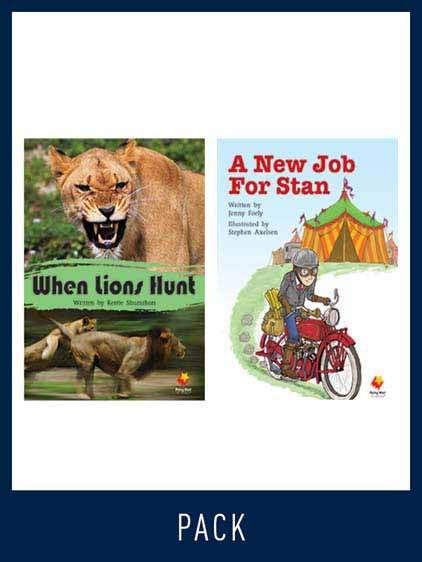 Flying Start Guided Reading Level 15, Pack 2