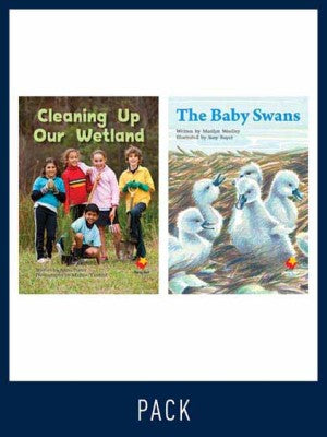 Flying Start Guided Reading Level 18, Pack 3