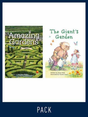 Flying Start Guided Reading Level 19, Pack 3