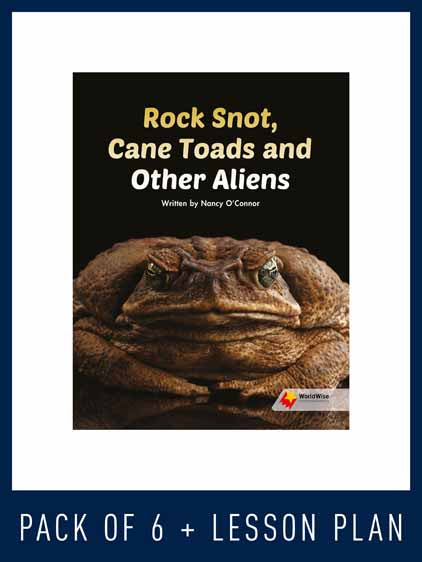 WorldWise Guided Reading Pack Level V, Pack 6