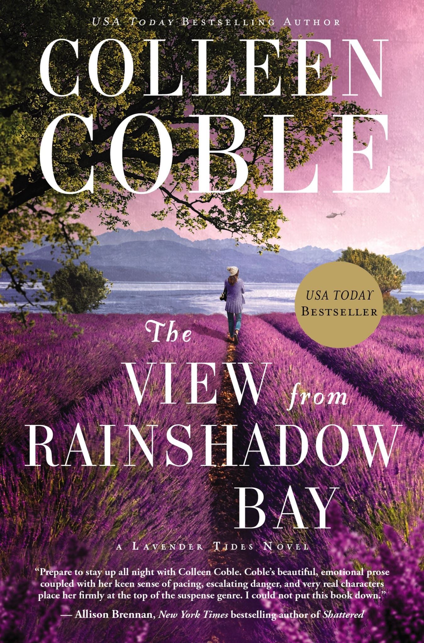 The View From Rainshadow Bay