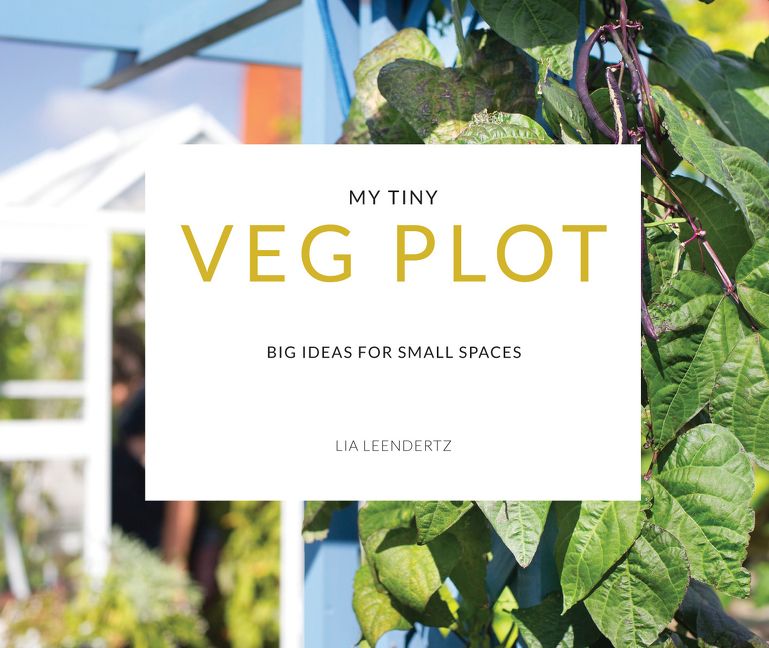 My Tiny Veg Plot