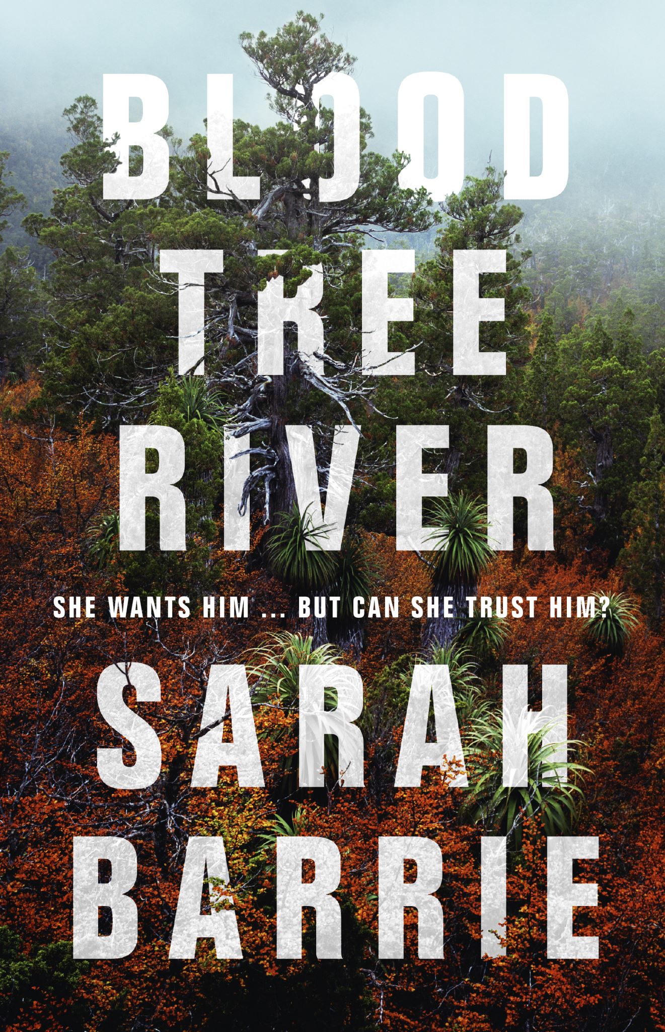 Bloodtree River