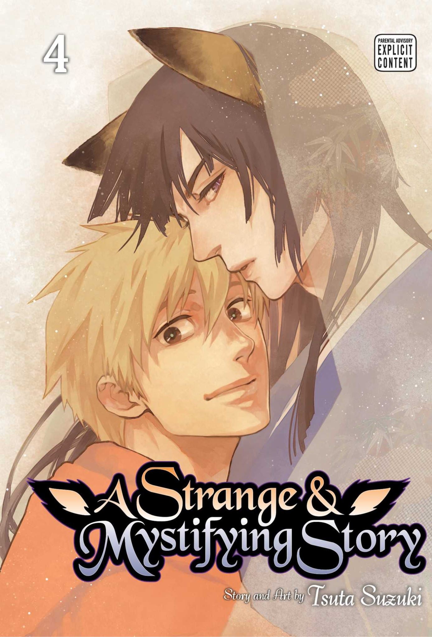 A Strange and Mystifying Story, Vol. 4