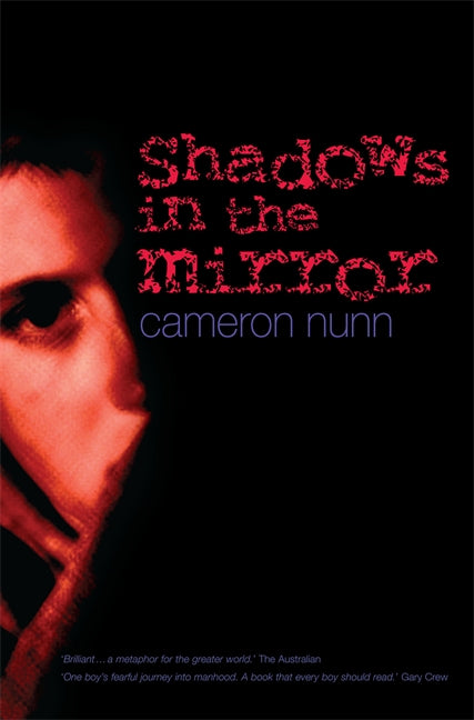 Shadows in the Mirror