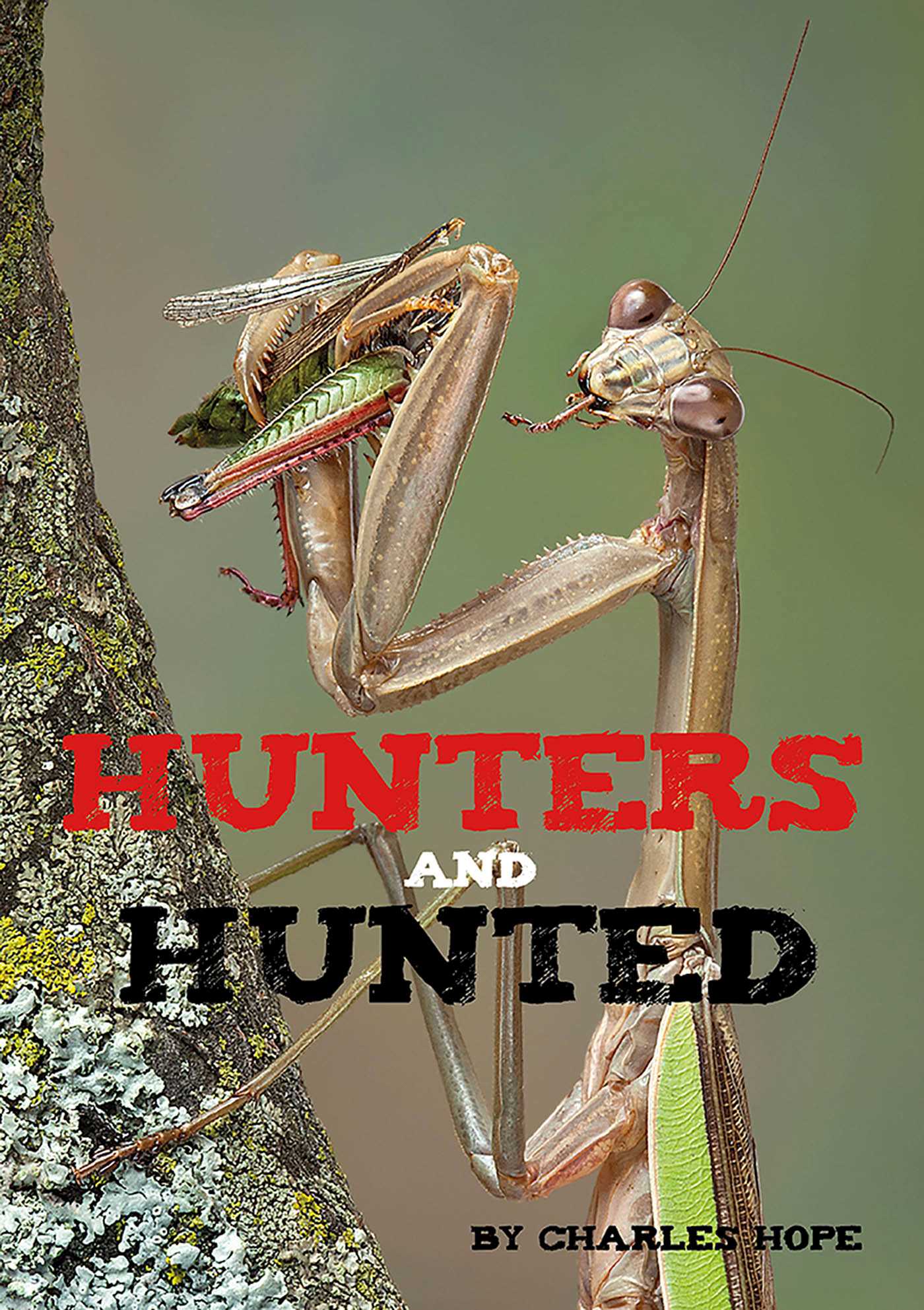Hunters and Hunted