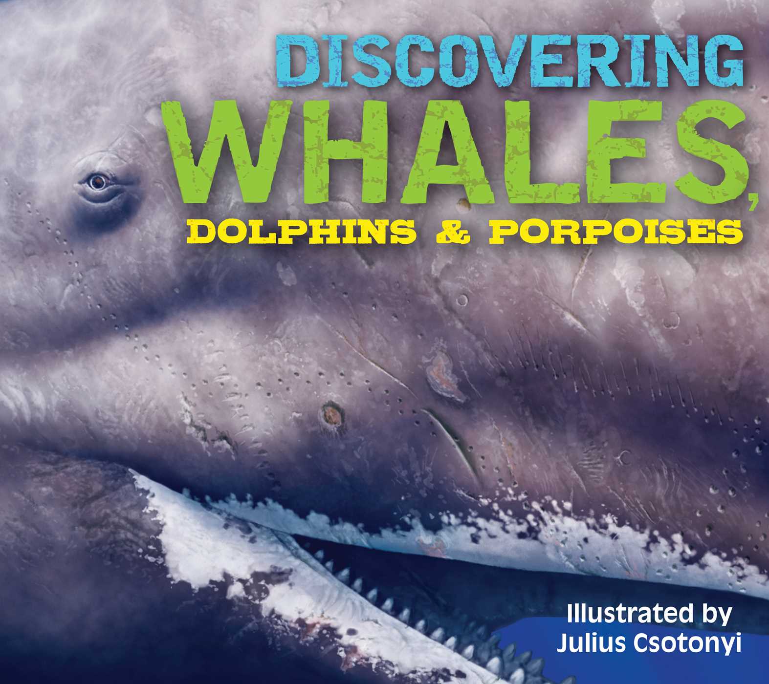 Discovering Whales, Dolphins & Porpoises