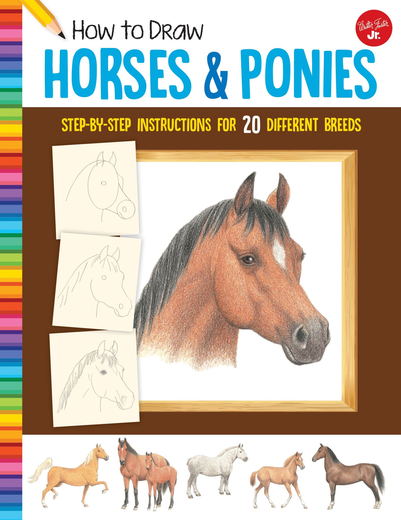 Horses & Ponies (How to Draw)