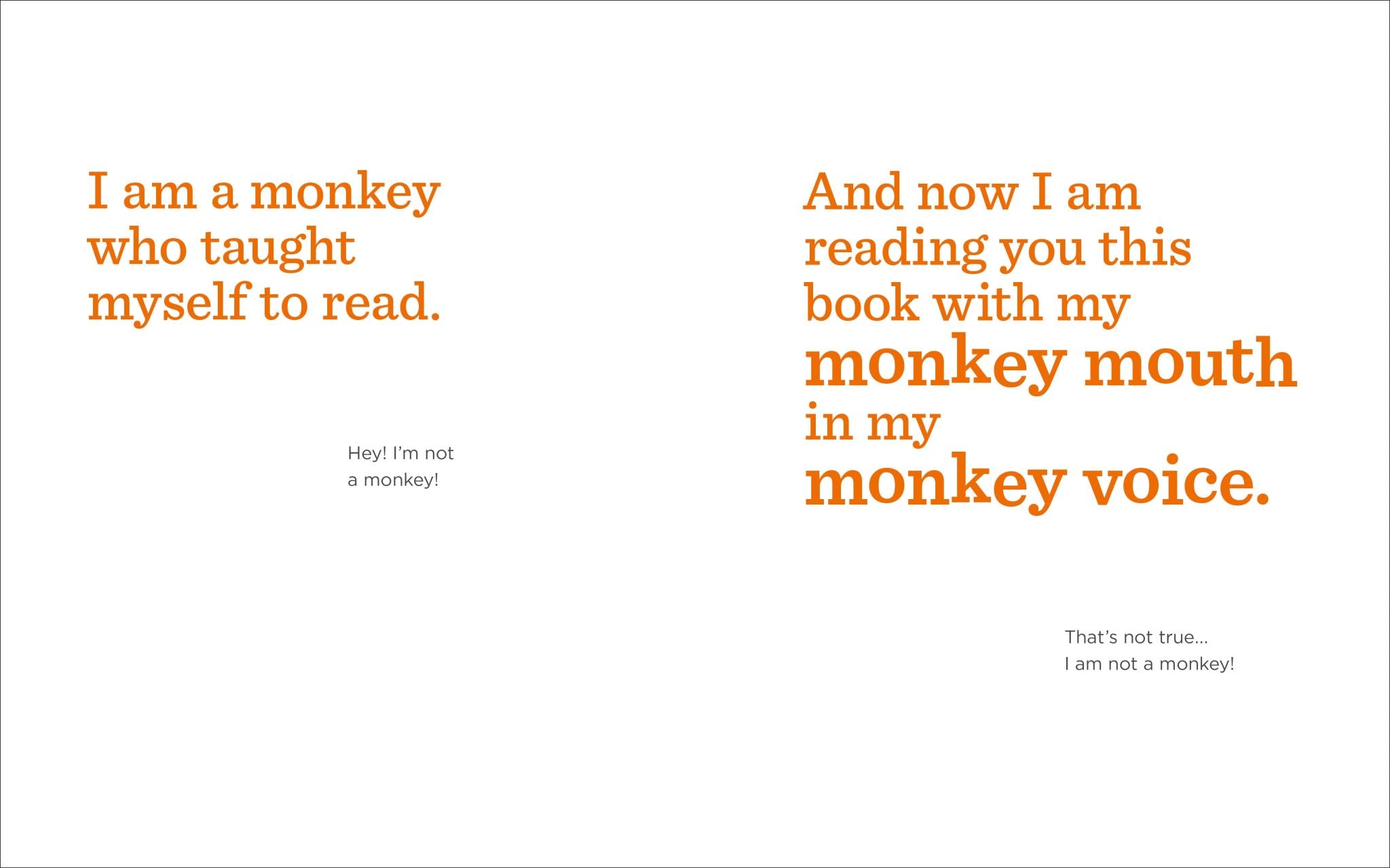 Book With No Pictures