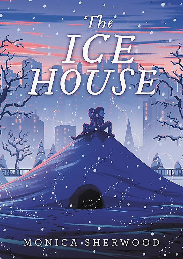 The Ice House (9780316705318)
