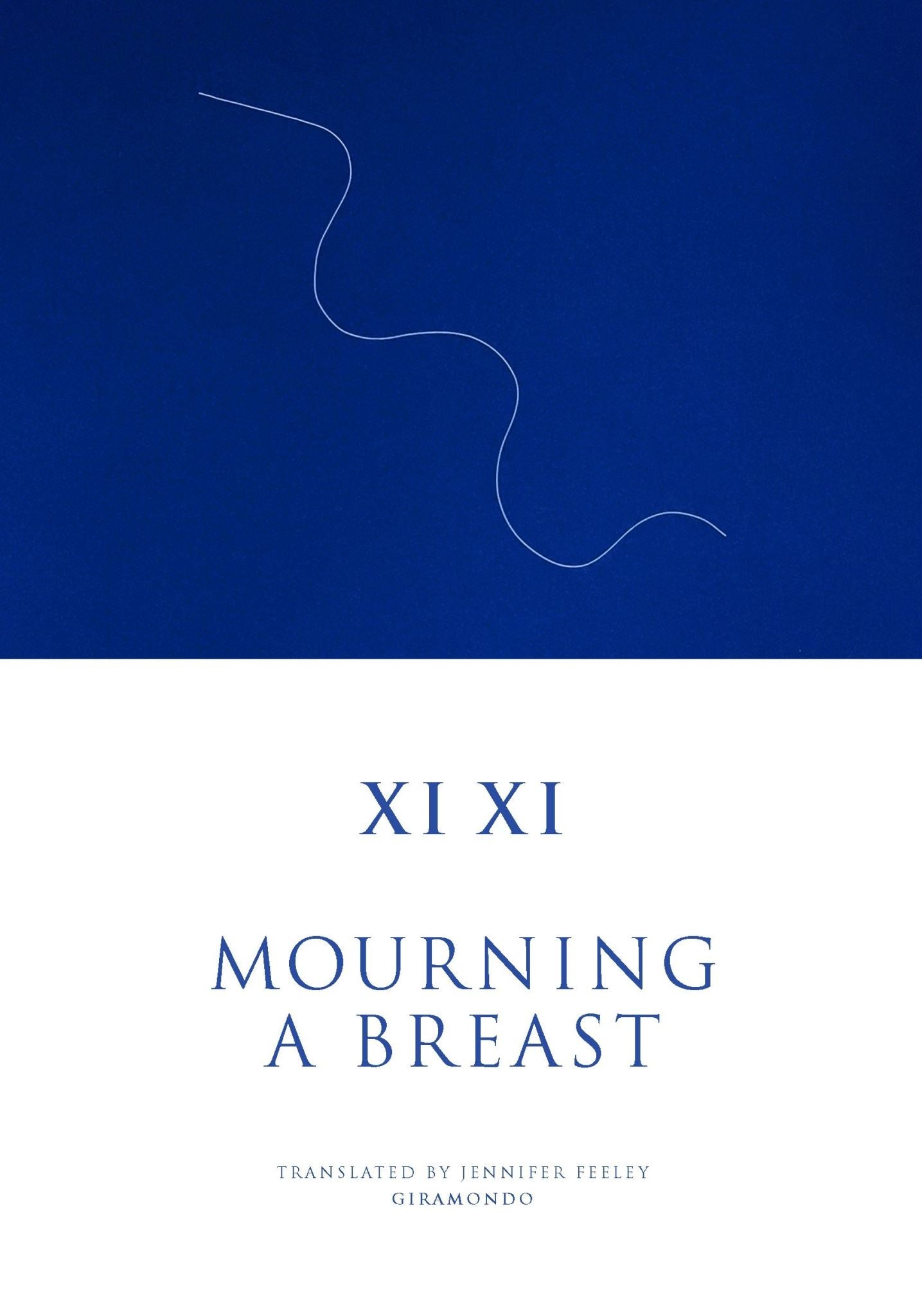 Mourning a Breast