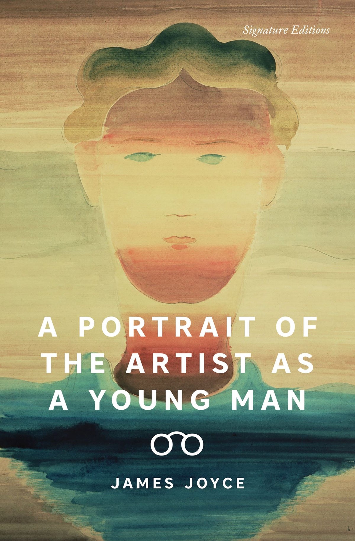 A Portrait of the Artist as a Young Man (9781454954613)