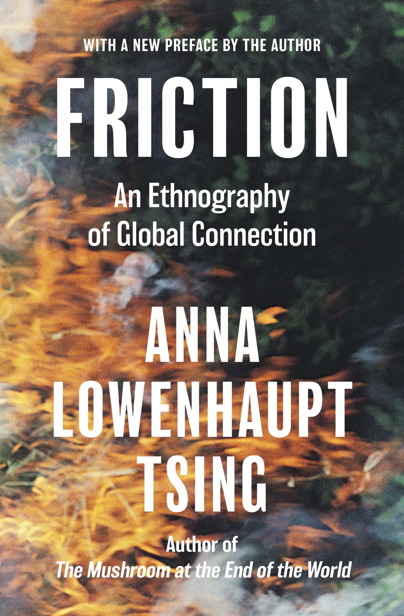 Friction (9780691263519)