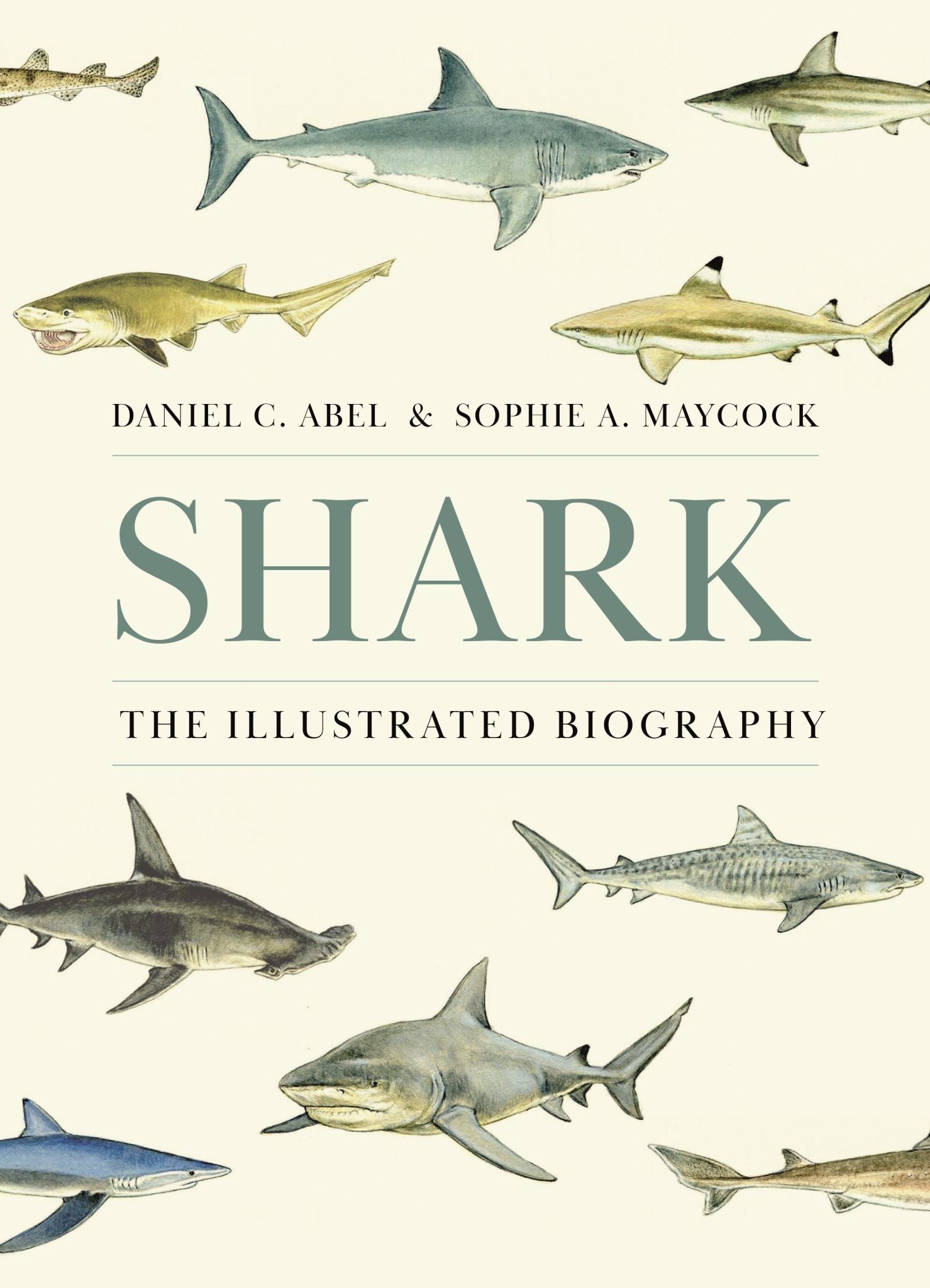 Shark (9780691261676)