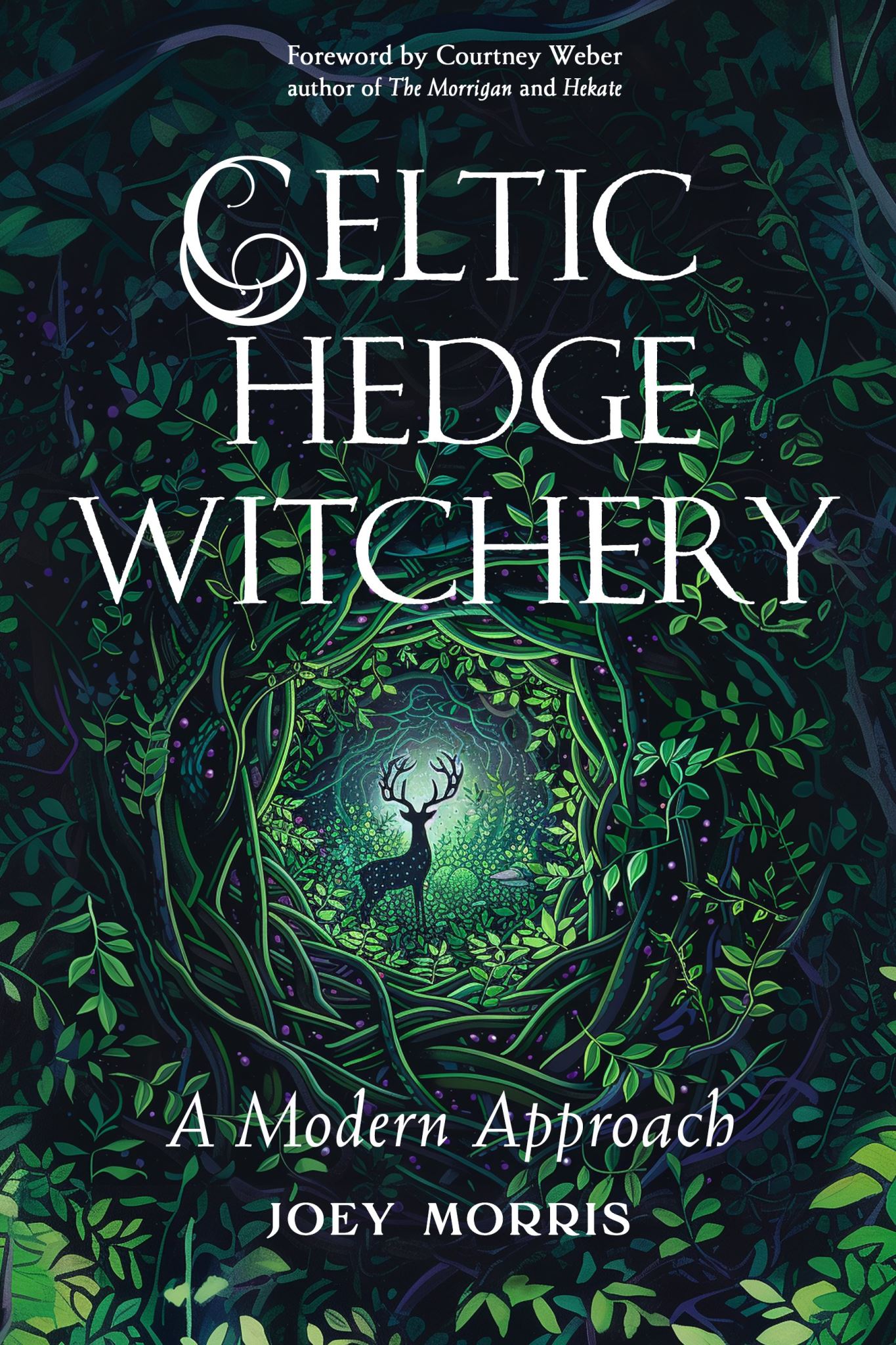 Celtic Hedge Witchery-A Modern Approach