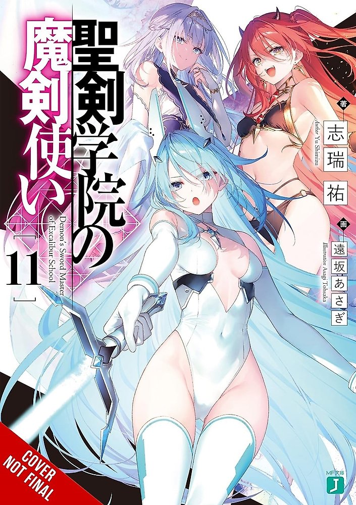 The Demon Sword Master of Excalibur Academy, Vol. 11 (light novel)