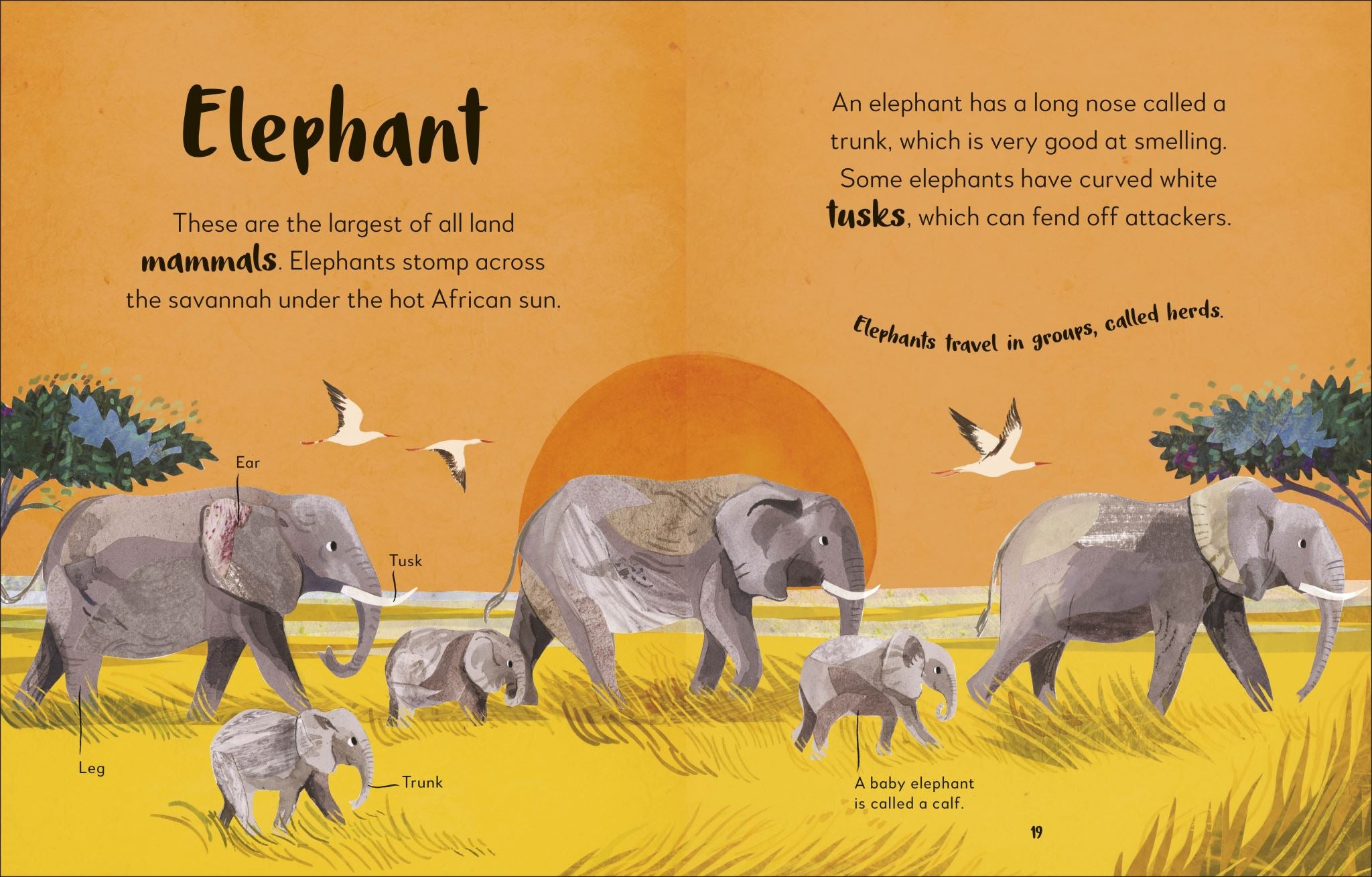 The Bedtime Book of Animals