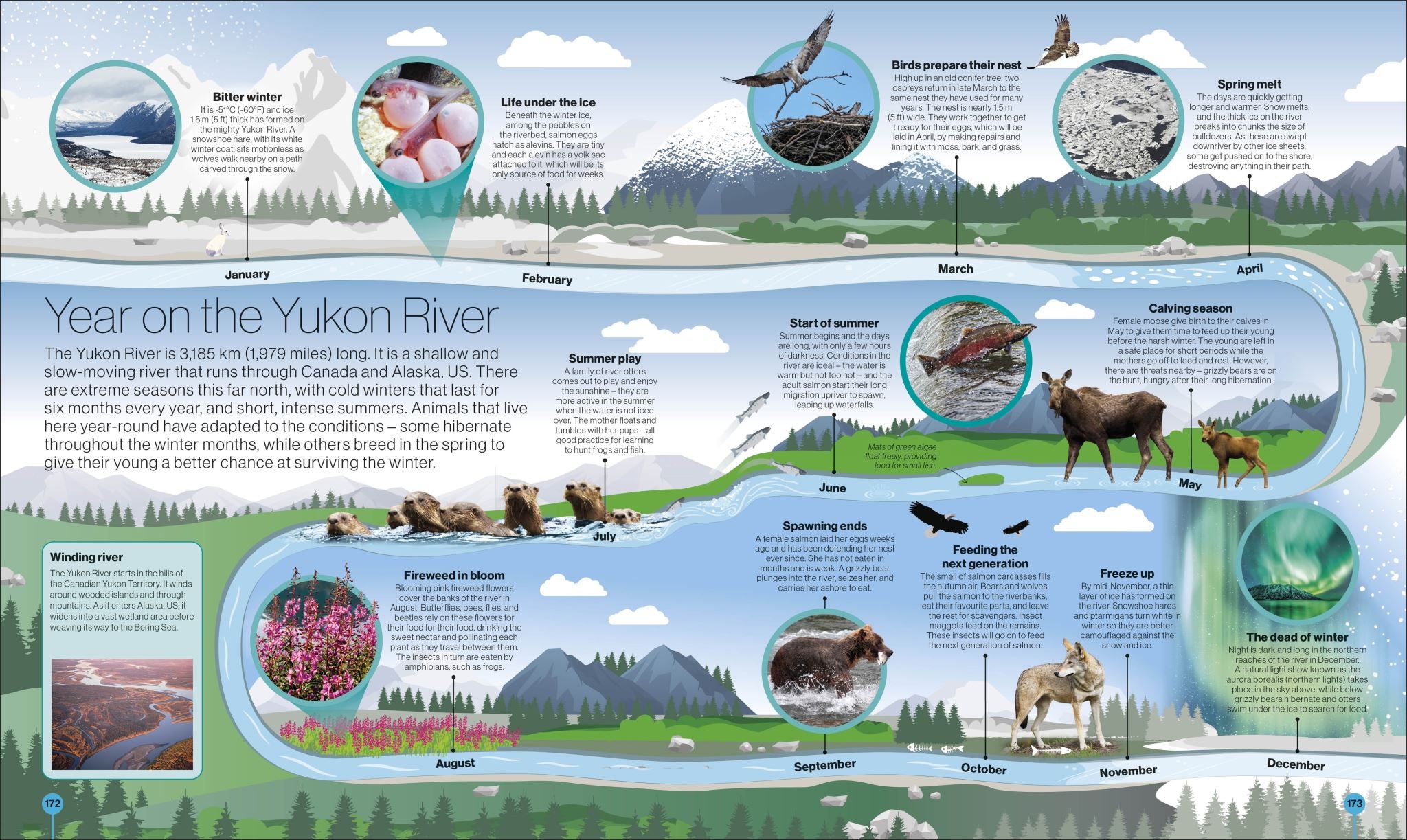 Timelines of Nature