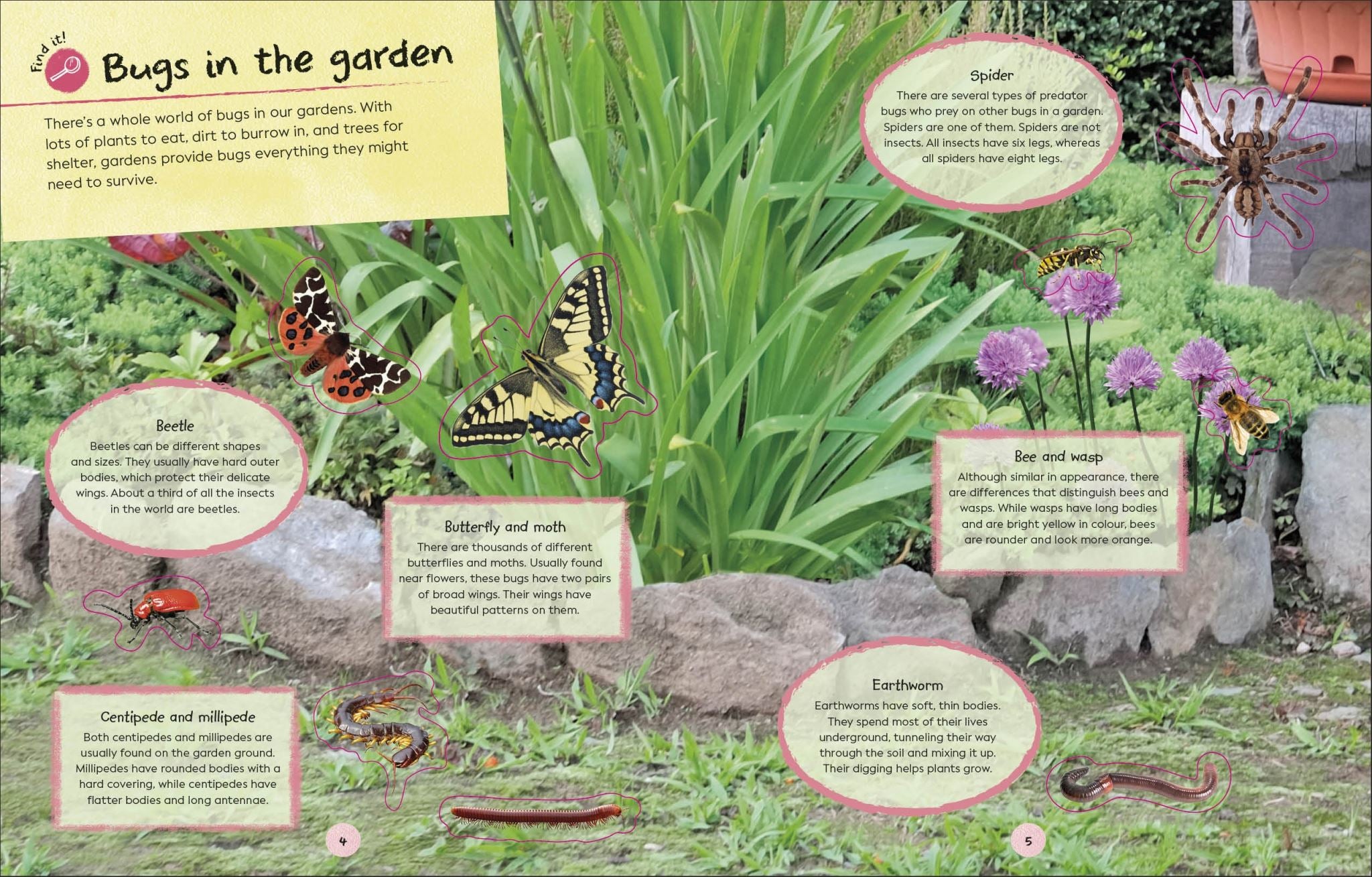 RHS Ultimate Sticker Book Garden Bugs