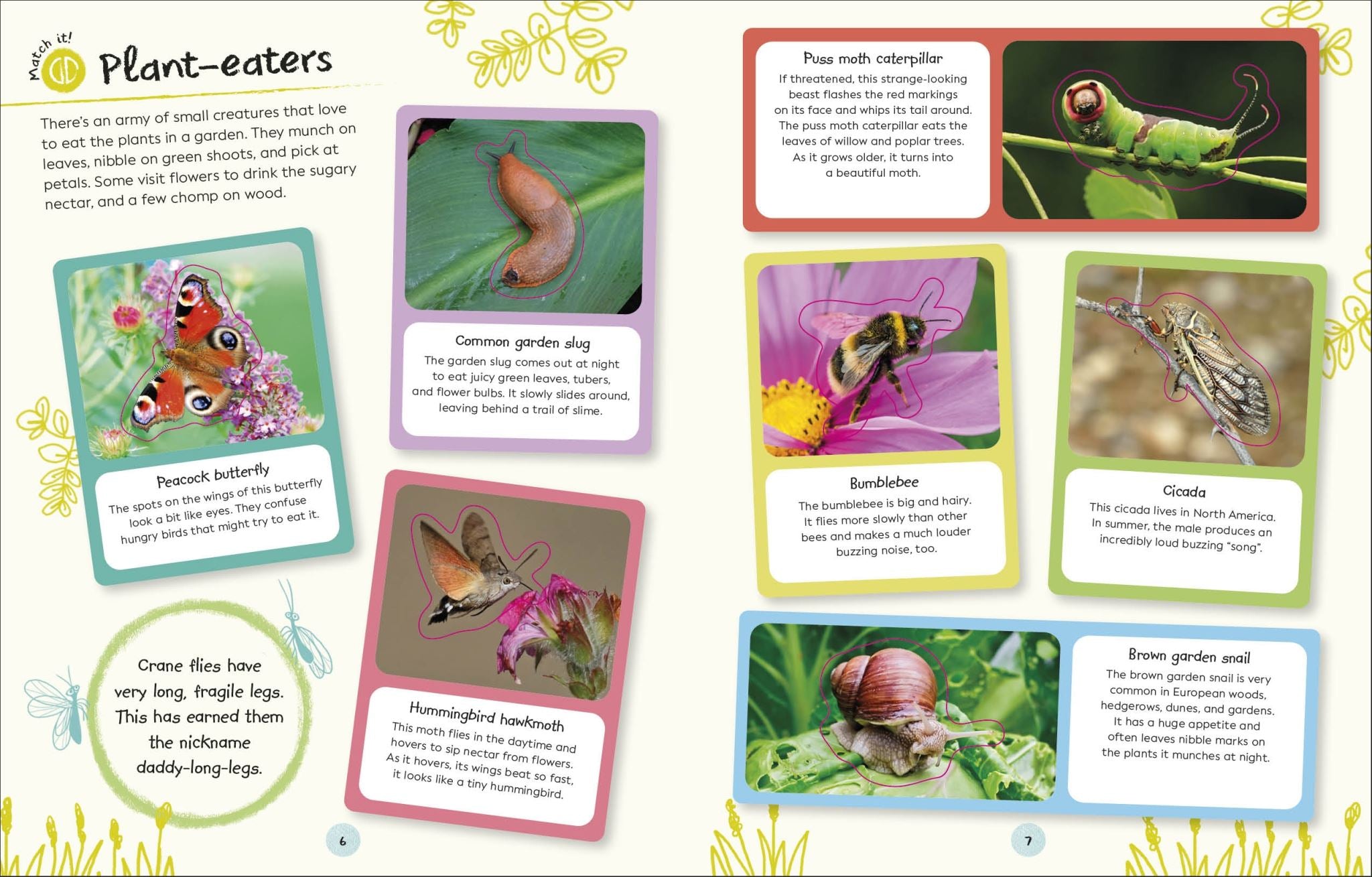 RHS Ultimate Sticker Book Garden Bugs