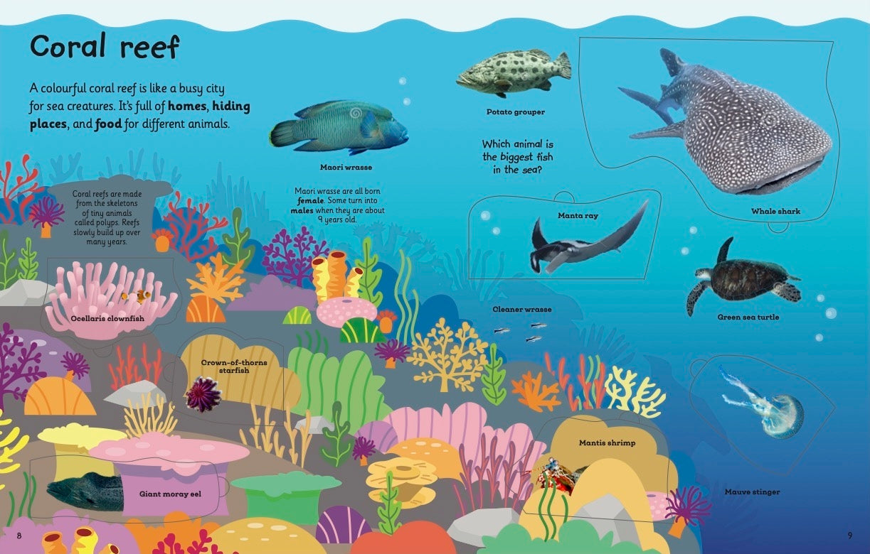 My Very Important Lift-the-Flap Book: Animals